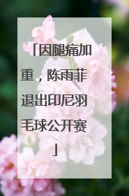 因腿痛加重，陈雨菲退出印尼羽毛球公开赛