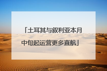 土耳其与叙利亚本月中旬起运营更多直航