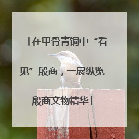 在甲骨青铜中“看见”殷商，一展纵览殷商文物精华