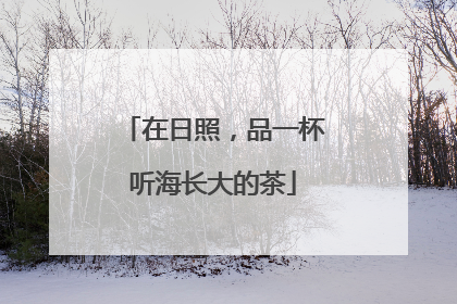 在日照，品一杯听海长大的茶