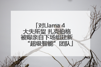 对Llama 4大失所望 扎克伯格被曝亲自下场组建新“超级智能”团队