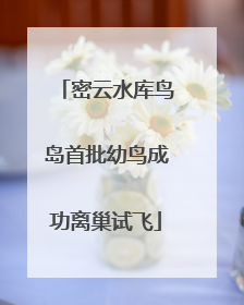 密云水库鸟岛首批幼鸟成功离巢试飞