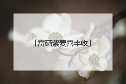 富硒紫麦喜丰收