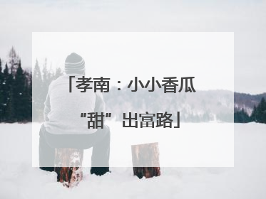 孝南：小小香瓜 “甜”出富路