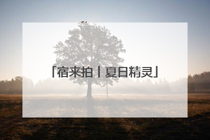 宿来拍丨夏日精灵