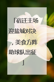 宿迁主场迎盐城对决，美食方阵助球队出征