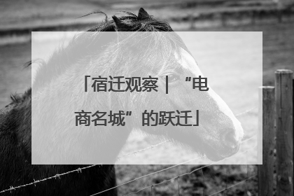 宿迁观察｜“电商名城”的跃迁