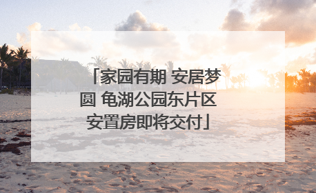家园有期 安居梦圆 龟湖公园东片区安置房即将交付