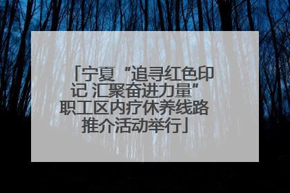 宁夏“追寻红色印记 汇聚奋进力量”职工区内疗休养线路推介活动举行