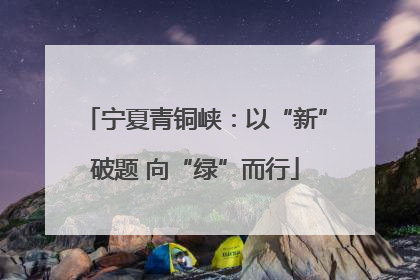 宁夏青铜峡：以“新”破题 向“绿”而行