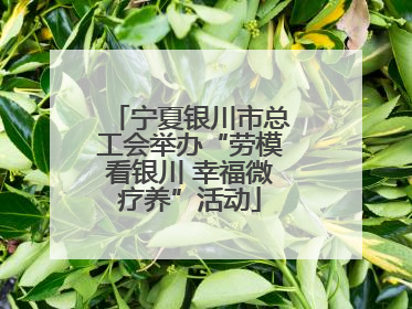 宁夏银川市总工会举办“劳模看银川 幸福微疗养”活动