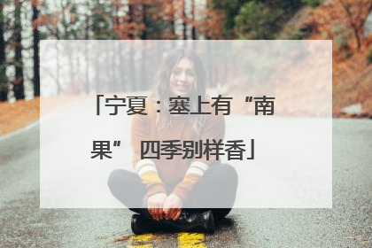 宁夏：塞上有“南果” 四季别样香