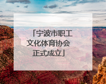 宁波市职工文化体育协会正式成立