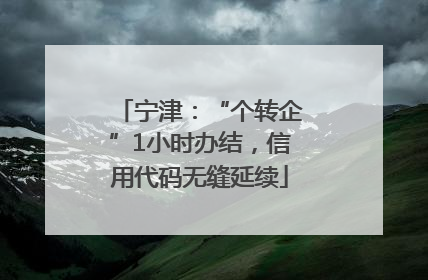 宁津：“个转企”1小时办结，信用代码无缝延续