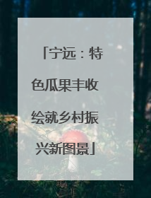 宁远：特色瓜果丰收绘就乡村振兴新图景