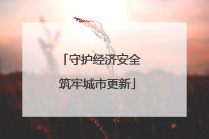 守护经济安全 筑牢城市更新