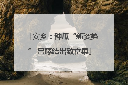 安乡：种瓜“新姿势” 吊藤结出致富果