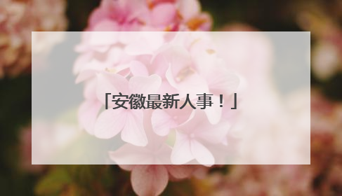 安徽最新人事！