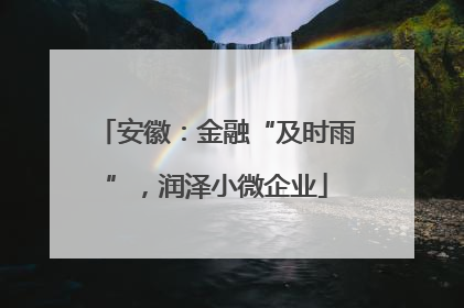 安徽：金融“及时雨”，润泽小微企业