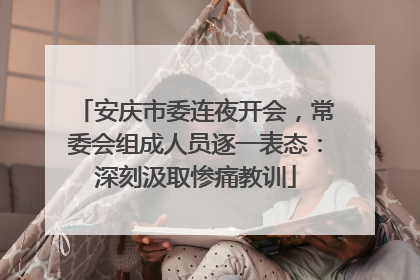 安庆市委连夜开会，常委会组成人员逐一表态：深刻汲取惨痛教训