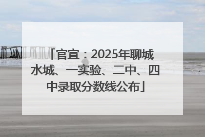 官宣：2025年聊城水城、一实验、二中、四中录取分数线公布