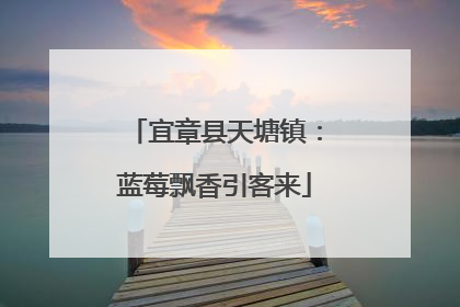 宜章县天塘镇：蓝莓飘香引客来