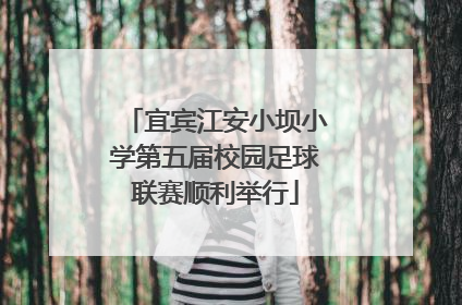 宜宾江安小坝小学第五届校园足球联赛顺利举行