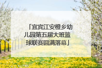 宜宾江安橙乡幼儿园第五届大班篮球联赛圆满落幕