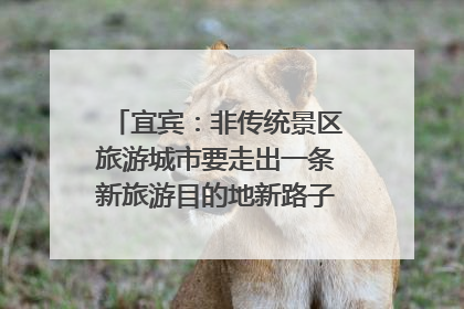 宜宾：非传统景区旅游城市要走出一条新旅游目的地新路子｜话锦绣·说安逸