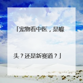 宠物看中医，是噱头？还是新赛道？