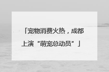 宠物消费火热，成都上演“萌宠总动员”