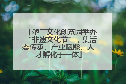 塑三文化创意园举办“非遗文化节”，集活态传承、产业赋能、人才孵化于一体