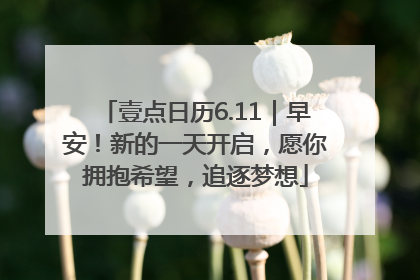 壹点日历6.11｜早安！新的一天开启，愿你拥抱希望，追逐梦想