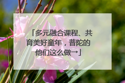多元融合课程、共育美好童年，普陀的他们这么做→