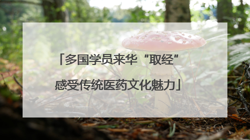 多国学员来华“取经” 感受传统医药文化魅力