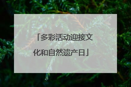 多彩活动迎接文化和自然遗产日