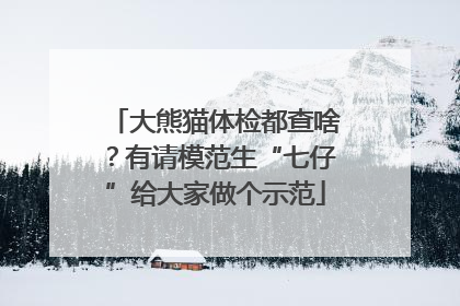 大熊猫体检都查啥？有请模范生“七仔”给大家做个示范