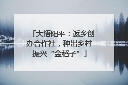 大悟阳平：返乡创办合作社，种出乡村振兴“金稻子”