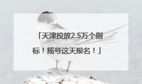 天津投放2.5万个指标！摇号这天报名！