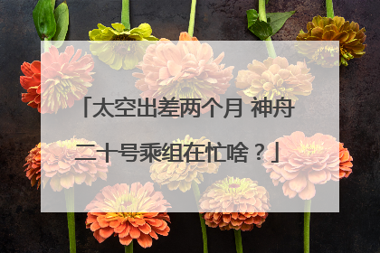 太空出差两个月 神舟二十号乘组在忙啥？