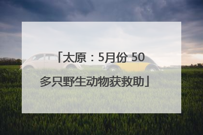 太原：5月份 50多只野生动物获救助