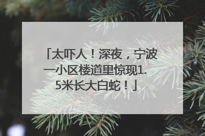 太吓人！深夜，宁波一小区楼道里惊现1.5米长大白蛇！