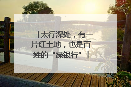 太行深处，有一片红土地，也是百姓的“绿银行”