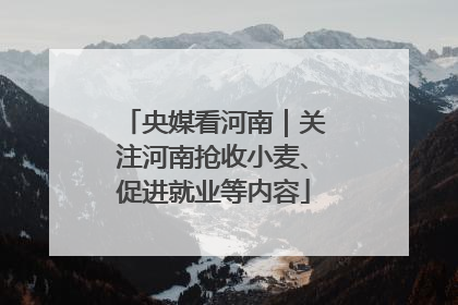央媒看河南｜关注河南抢收小麦、促进就业等内容