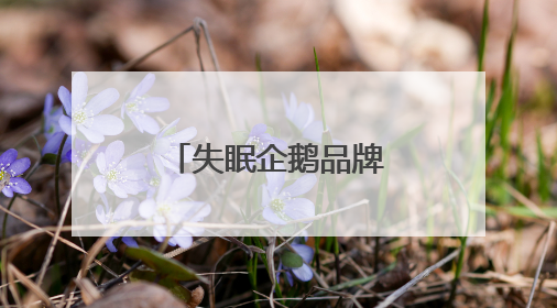 失眠企鹅品牌声量创新高