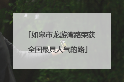 如皋市龙游湾路荣获全国最具人气的路