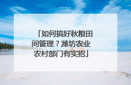 如何搞好秋粮田间管理？潍坊农业农村部门有实招