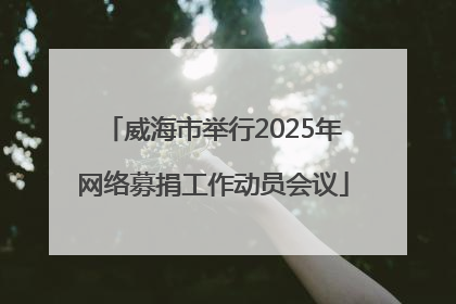 威海市举行2025年网络募捐工作动员会议