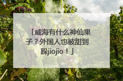 威海有什么神仙果子？外国人也被甜到跺jiojio！