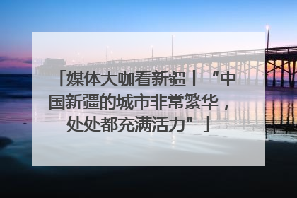 媒体大咖看新疆丨“中国新疆的城市非常繁华，处处都充满活力”